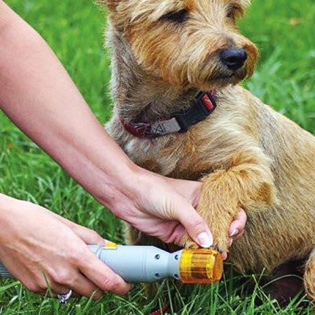 Schmerzfreie elektrische Nagelfeile / Haustierfeile - Pedi Paws